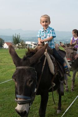 dsc-7637.jpg