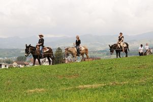 dsc-1590.jpg